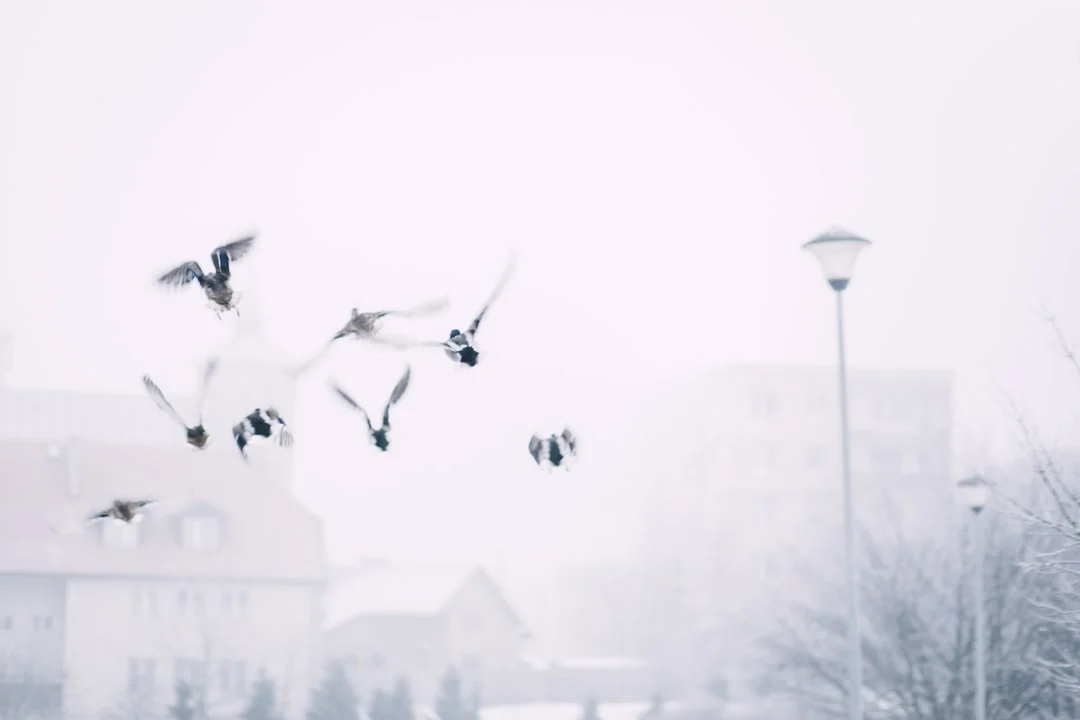 jasa-fotografi-5.webp